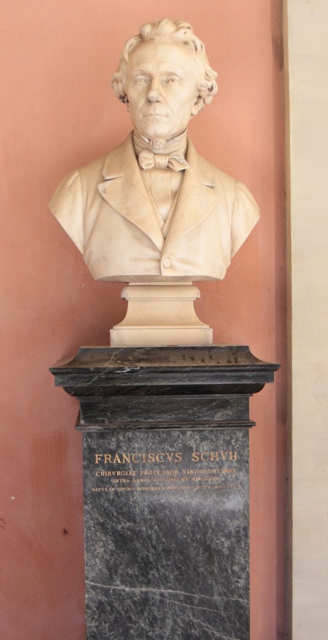 Franz%20Schuh%27s%20bust%2C%20Medical%20monuments%2C%20UNI%20Vienna%20%2898%29...jpg